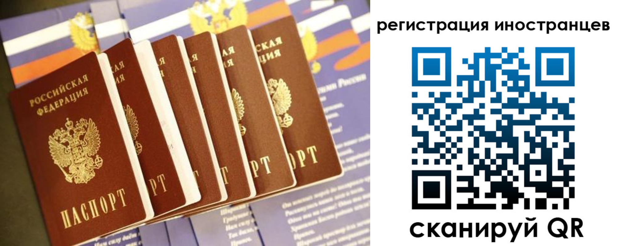 прописка в Новокубанске